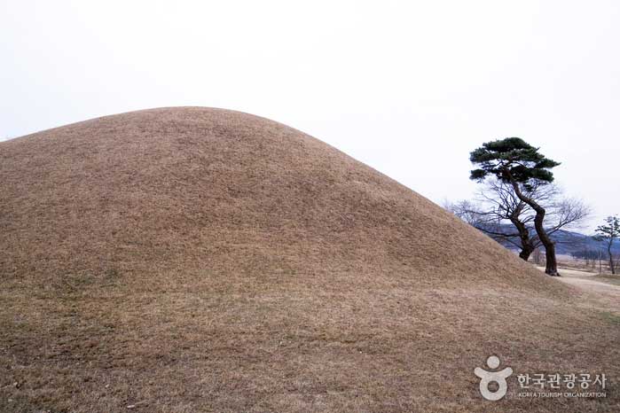 Tombes royales de Jinpyeong - Gyeongju, Gyeongbuk, Corée (https://codecorea.github.io)