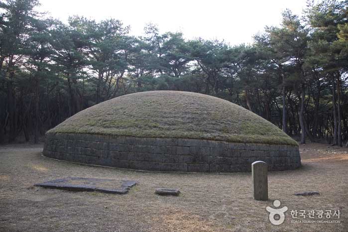 Heongang Royal Tombs - Gyeongju, Gyeongbuk, Corée (https://codecorea.github.io)