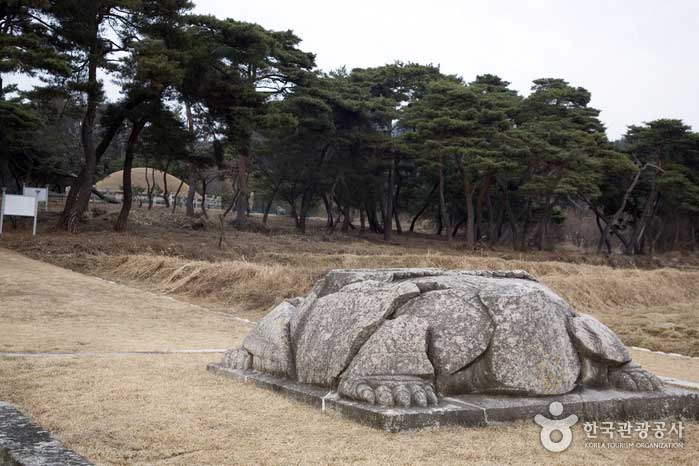 Königliches Mausoleum von Seongdeok - Gyeongju, Gyeongbuk, Korea (https://codecorea.github.io)