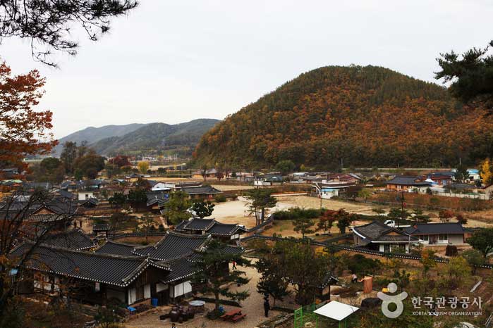 Deokcheon Village depuis la montagne arrière de Songjeong Gotaek - Gyeongju, Gyeongbuk, Corée (https://codecorea.github.io)