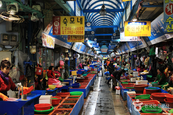 Jukdo Market Живая рыбная аллея. Вы можете попробовать деликатесы Пхохан - Пхохан, Кёнбук, Корея (https://codecorea.github.io)
