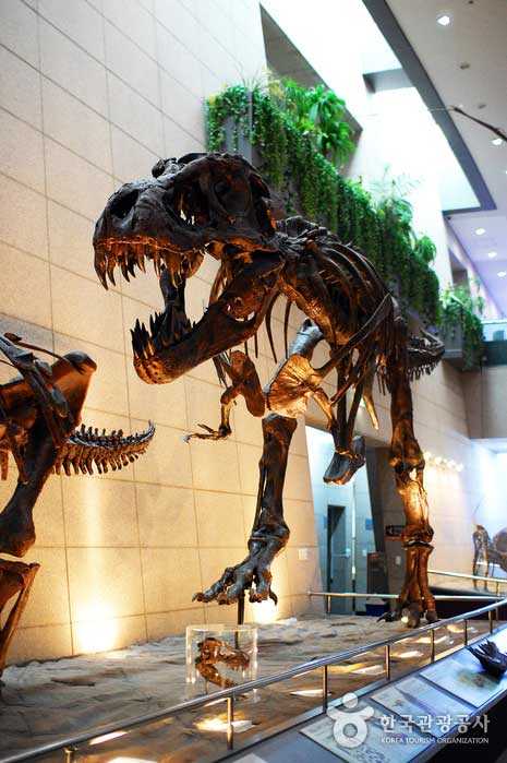 Тиранозавр встречается у входа - Юсон-гу, Тэджон, Корея (https://codecorea.github.io)