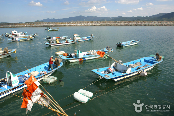 Юкдопогу и морская дамба Нампо - Борён, Чунгнам, Корея (https://codecorea.github.io)