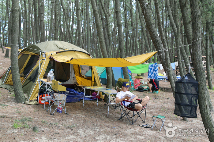 Camping Solbat à la plage de Yongdu - Boryeong, Chungnam, Corée (https://codecorea.github.io)