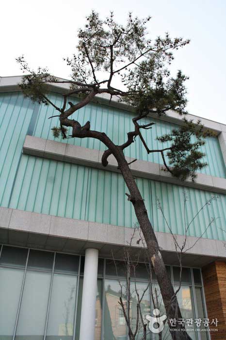 Вид на Музей Искусств Татуировки прямо возле Деревни Мурал - Чангвон, Кённам, Южная Корея (https://codecorea.github.io)