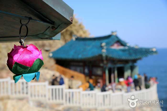 Roter Lotus, der an der Traufe hängt, passt gut zu rotem Lotus - Yangyang-Pistole, Gangwon-do, Korea (https://codecorea.github.io)