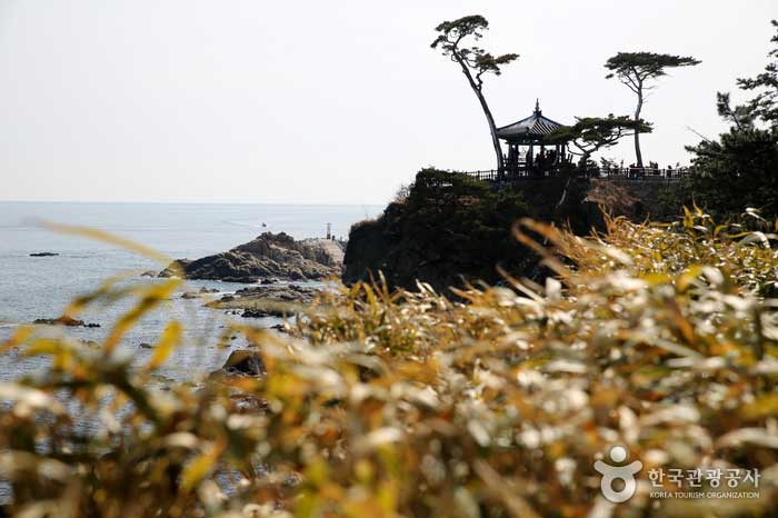 Un stand de costume fait sur une falaise côtière - Yangyang-gun, Gangwon-do, Corée (https://codecorea.github.io)