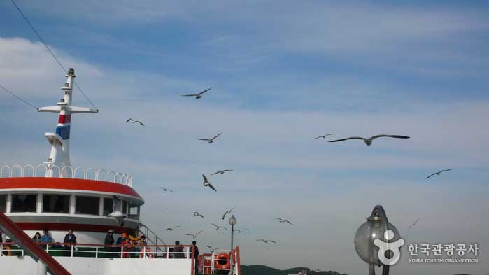 Ships and seagulls - Jung-gu, Incheon, Korea (https://codecorea.github.io)