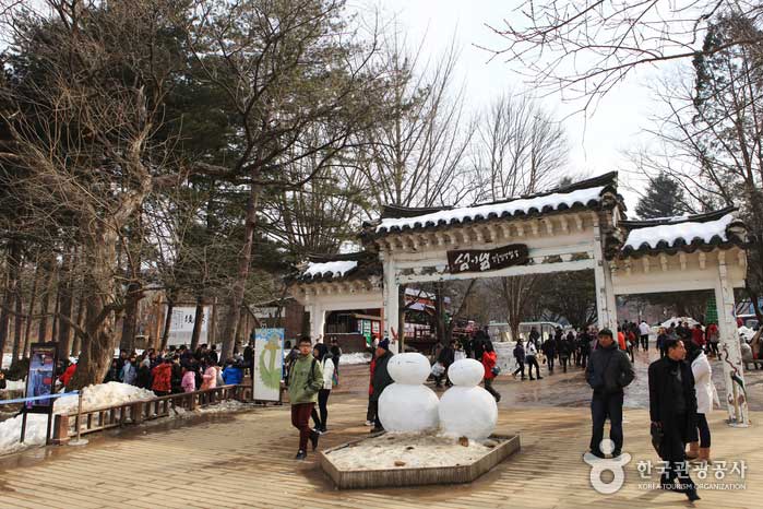 Nami Island Entrance - Chuncheon, Gangwon, Korea (https://codecorea.github.io)