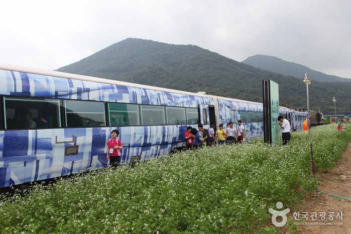 Namdo Marine Train se compose de 5 salles des machines et cabines - Suncheon, Jeonnam, Corée (https://codecorea.github.io)