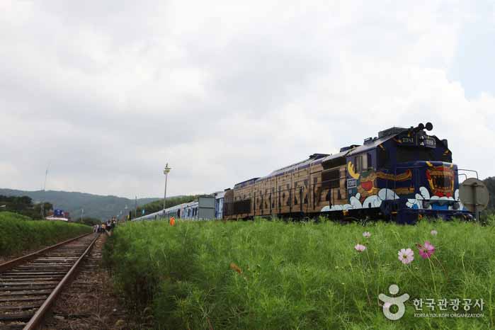 Der Namdo Marine Train hielt an der Bokcheon Station - Suncheon, Jeonnam, Korea (https://codecorea.github.io)