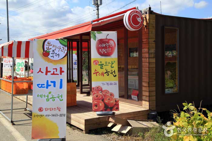 Papa's Farm Sales y Apple Field para experiencia - Mungyeong, Gyeongbuk, Corea del Sur (https://codecorea.github.io)