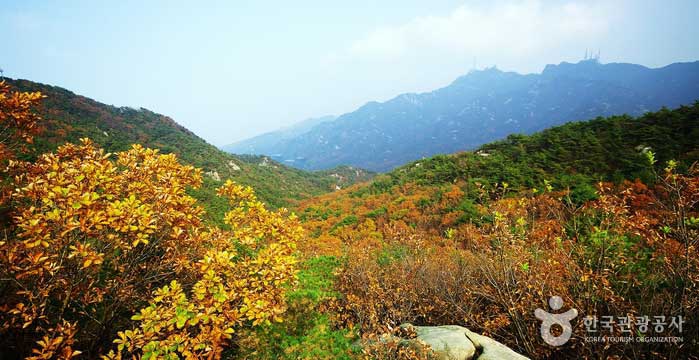 Вы можете увидеть вершину Гванаксан на расстоянии. - Сондон-гу, Сеул, Корея (https://codecorea.github.io)