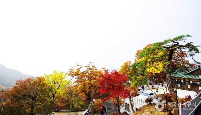 Paysage d'automne à Sammaksa - Seongdong-gu, Séoul, Corée (https://codecorea.github.io)