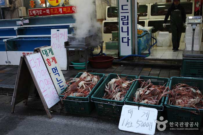 Рыба заполняет восточное побережье зимой - Самчхок-си, Канвондо, Корея (https://codecorea.github.io)