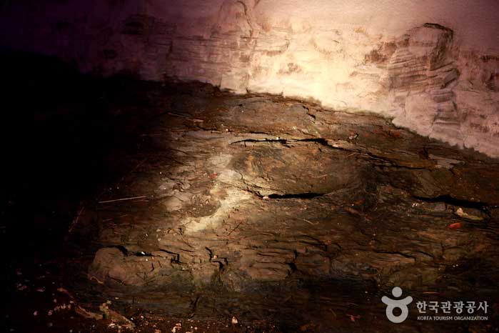 Huella de dinosaurio real fósil en el sitio de Danghangpo Expo - Goseong-gun, Gyeongnam, Corea (https://codecorea.github.io)