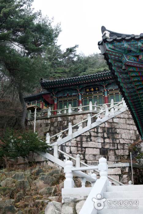 Stairway to Cheonbuljeon - Okcheon-gun, Chungbuk, Korea (https://codecorea.github.io)