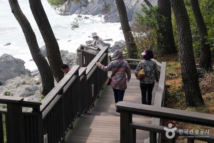 Pont de promenade au bord de l'eau - Haeundae-gu, Busan, Corée du Sud (https://codecorea.github.io)