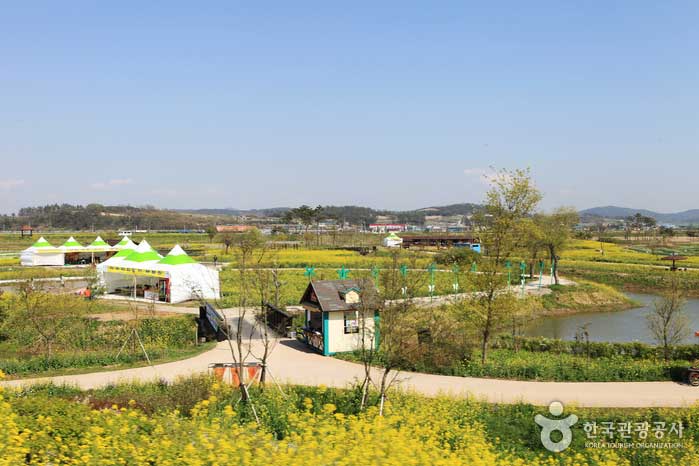 Vista del parque costero Hampyeongcheon desde el tren de Nabi - Hampyeong-gun, Jeonnam, Corea (https://codecorea.github.io)