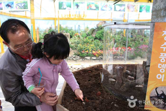 Il y a des expériences que les enfants peuvent voir et toucher. - Hampyeong-gun, Jeonnam, Corée (https://codecorea.github.io)