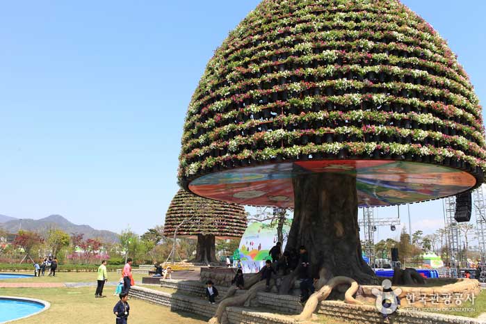 Expo Park, the main festival site - Hampyeong-gun, Jeonnam, Korea (https://codecorea.github.io)