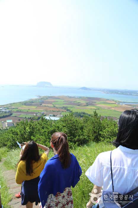Gehen wir zurück und sehen uns die Landschaft mitten im Aufstieg an - Jeju City, Jeju, Korea (https://codecorea.github.io)