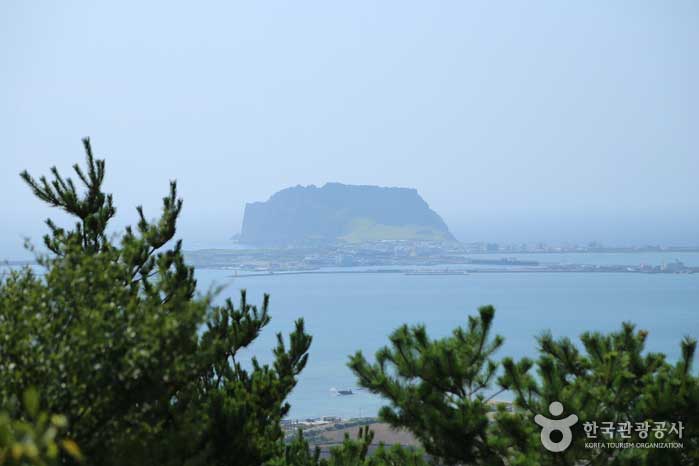 Seongsan Ilchulbong can be seen through the trees - Jeju City, Jeju, Korea (https://codecorea.github.io)