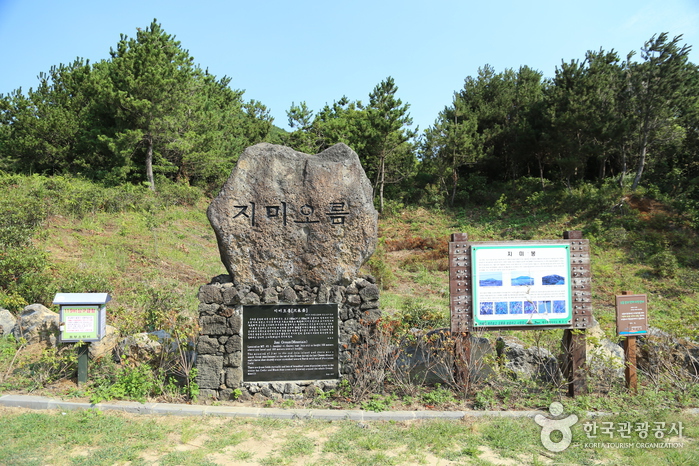 Marcas erigidas en la entrada de Jimmy Bong - Ciudad de Jeju, Jeju, Corea (https://codecorea.github.io)