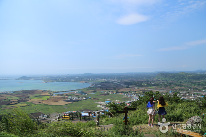 Wohin gehen wir, Papa? Um das verborgene Geheimnis von Jeju zu finden! Erkundung des Jeju Jimmy Peak - Jeju City, Jeju, Korea