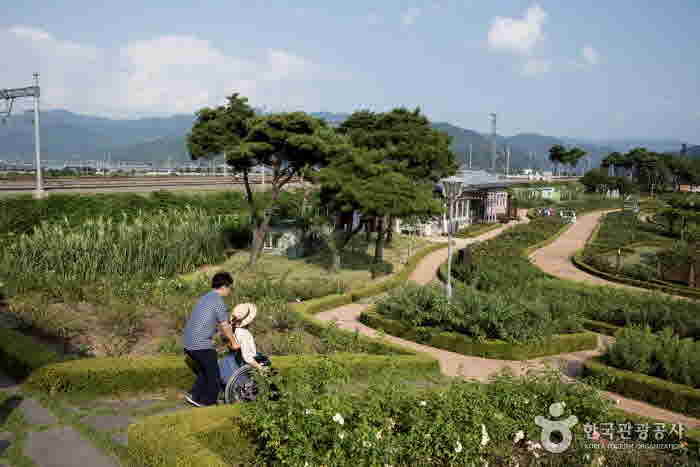 Route en descente de Rose Park Shelter à Rose Park - Gokseong-gun, Jeollanam-do, Corée (https://codecorea.github.io)