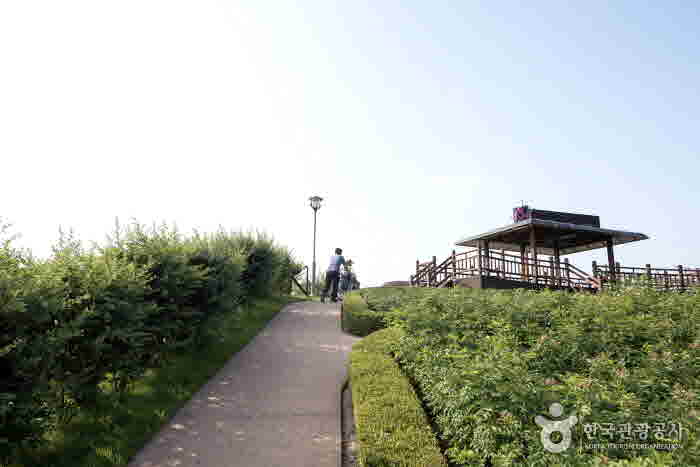 Rose Park shelter - Gokseong-gun, Jeollanam-do, Korea (https://codecorea.github.io)