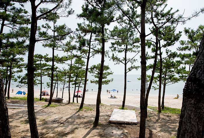 Le paysage de la plage de Daecheon entre Haesong - Boryeong, Chungnam, Corée (https://codecorea.github.io)