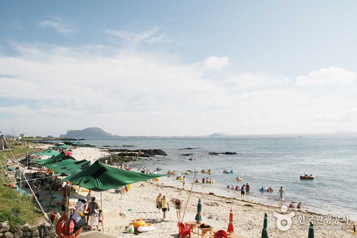 In der Sommersaison ist es voller Menschen - Jeju City, Jeju, Korea (https://codecorea.github.io)