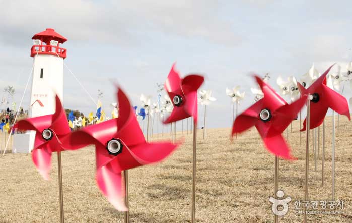 Windräder beim Seongsan Ilchulbong Festival - Seogwipo, Jeju, Korea (https://codecorea.github.io)