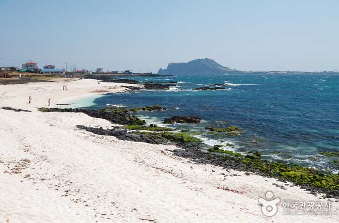 La plage de sable blanc et la plage de la mer rouge avec la mer bleue - Seogwipo, Jeju, Corée (https://codecorea.github.io)