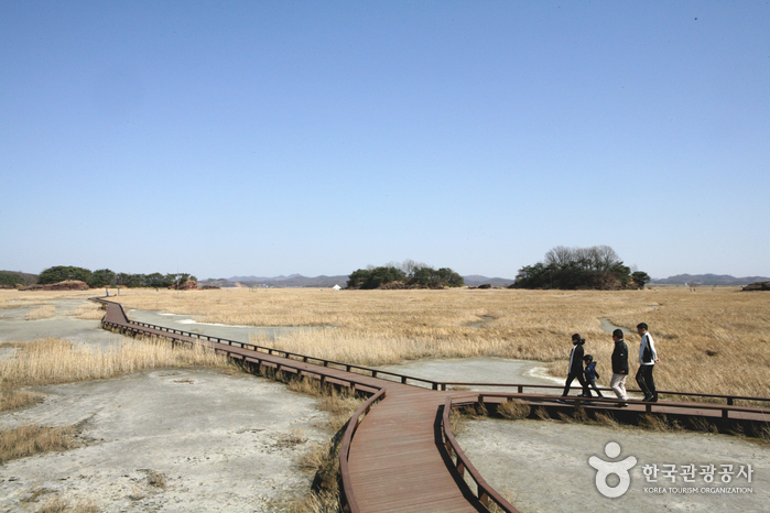 Sentier des traces d'oeufs de dinosaure - Hwaseong-si, Gyeonggi-do, Corée (https://codecorea.github.io)