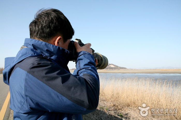 Der Vogelbeobachtungsvogel ist vor der Kamera - Hwaseong-si, Gyeonggi-do, Korea (https://codecorea.github.io)