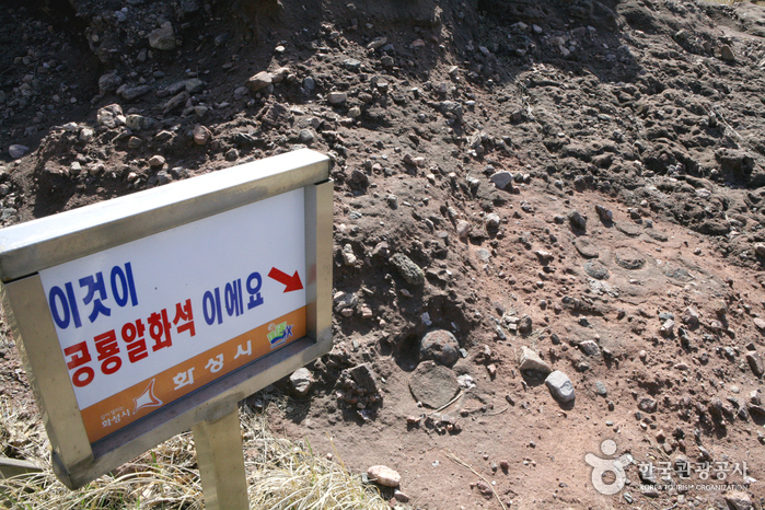 Яйцо динозавра, изучающее ископаемую соль - Хвасон-си, Кёнгидо, Корея (https://codecorea.github.io)