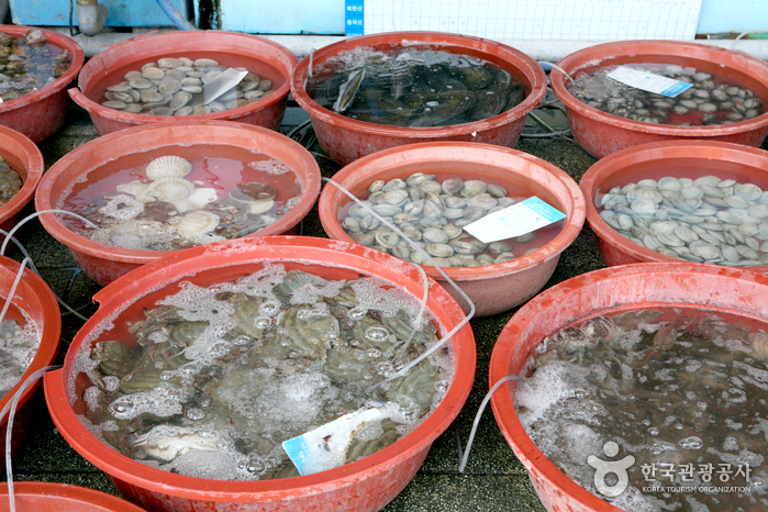 Meeresfrüchte vom Sagang Markt - Hwaseong-si, Gyeonggi-do, Korea (https://codecorea.github.io)