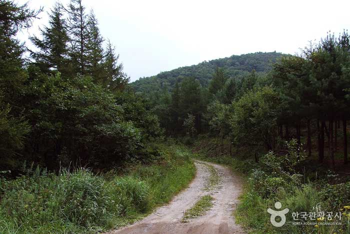 Hwajeolryeong-gil ist ein Bergweg, aber kein Waldweg - Jeongseon-gun, Gangwon-do, Korea (https://codecorea.github.io)