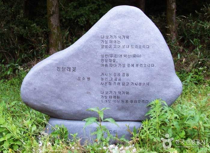 Poesía de <Azalea Flowers> del poeta Kim So-wol en Hwajeolryeong-gil - Jeongseon-gun, Gangwon-do, Corea (https://codecorea.github.io)