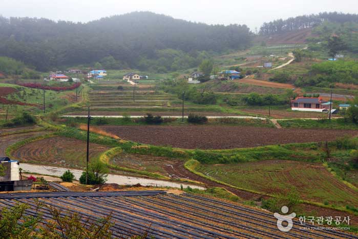 Jungang-ri Деревенский пейзаж - Seosan, Chungnam, Южная Корея (https://codecorea.github.io)