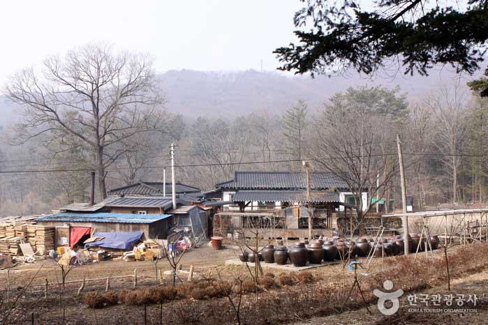 В лесу есть место для съемок, куда вместе ходили До Мин Чжун и Чон Сон. - Почеон, Кёнгидо, Корея (https://codecorea.github.io)