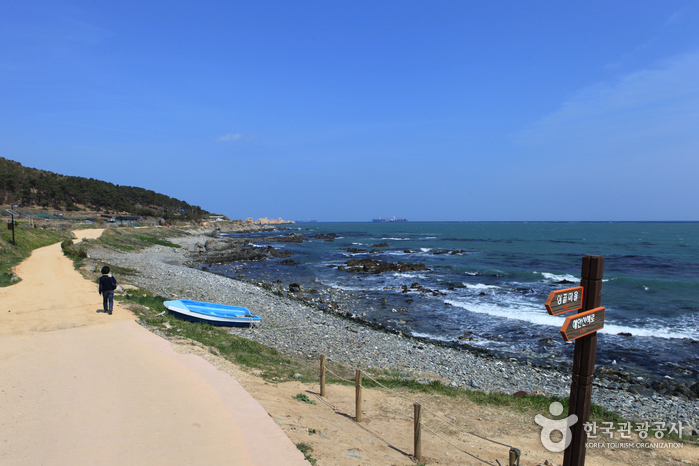 Пейзаж прибрежной дороги, соединяющий парк Daewangam и конец острова - Донг-гу, Ульсан, Корея (https://codecorea.github.io)
