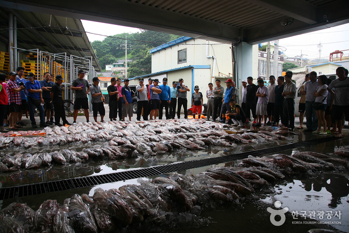 Die Auktion der Süßwasserfische traf ich in Yeongseongpo, Yeonggwang - Mokpo-si, Jeollanam-do, Korea (https://codecorea.github.io)