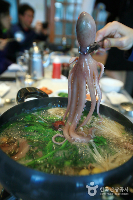 Ein wenig gekochter Tintenfisch - Mokpo-si, Jeollanam-do, Korea (https://codecorea.github.io)