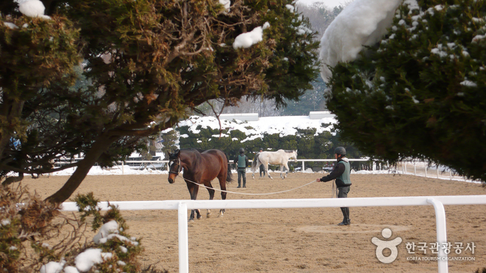 Escena de entrenamiento de jinetes de carreras de caballos - Goyang-si, Gyeonggi-do, Corea (https://codecorea.github.io)