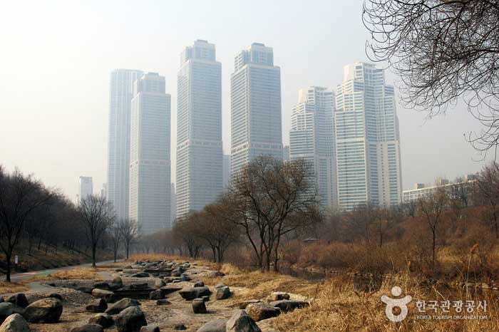 Complexe résidentiel de Yangjae Riverside Willow et Dogok-dong - Seocho-gu, Séoul, Corée (https://codecorea.github.io)