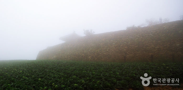 Хомутовая обсерватория сложена камнями со склона - Каннын-си, Канвондо, Корея (https://codecorea.github.io)
