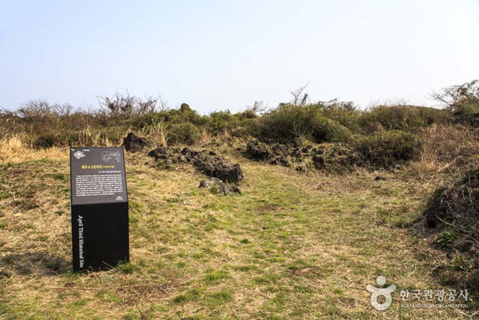 Der Ort, an dem Darangshgul gefunden wurde - Jeju City, Jeju, Korea (https://codecorea.github.io)